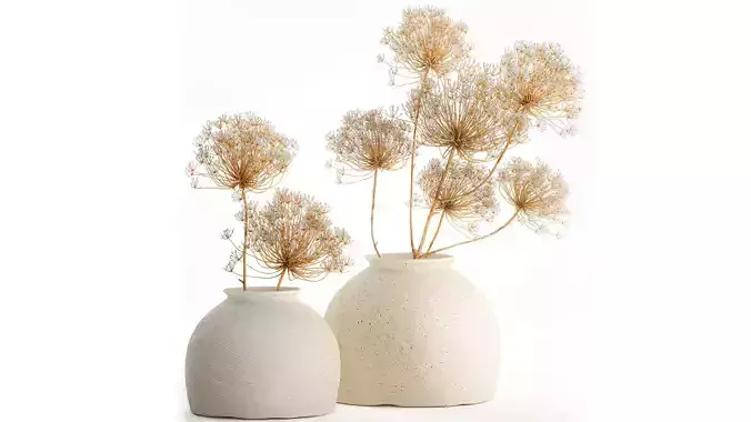 Realistic bouquet dried flowers Hogweed branches vase 659