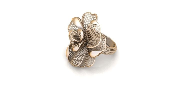 Ring ultra vision 10405 3D print model