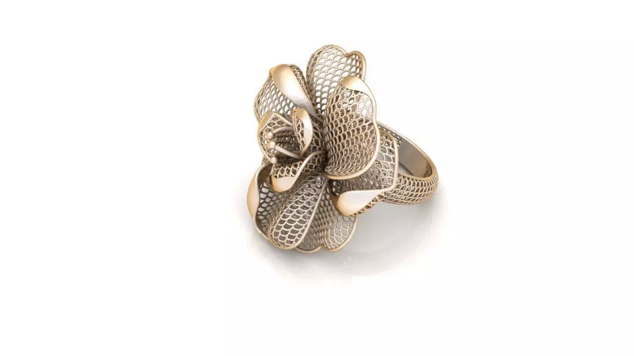 Ring ultra vision 10405 3D print model_0