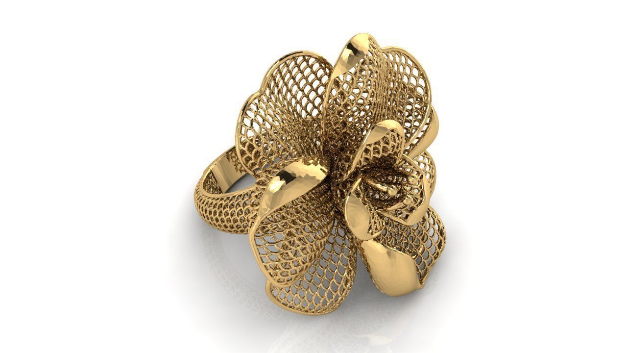 Ring ultra vision 10405 3D print model_1