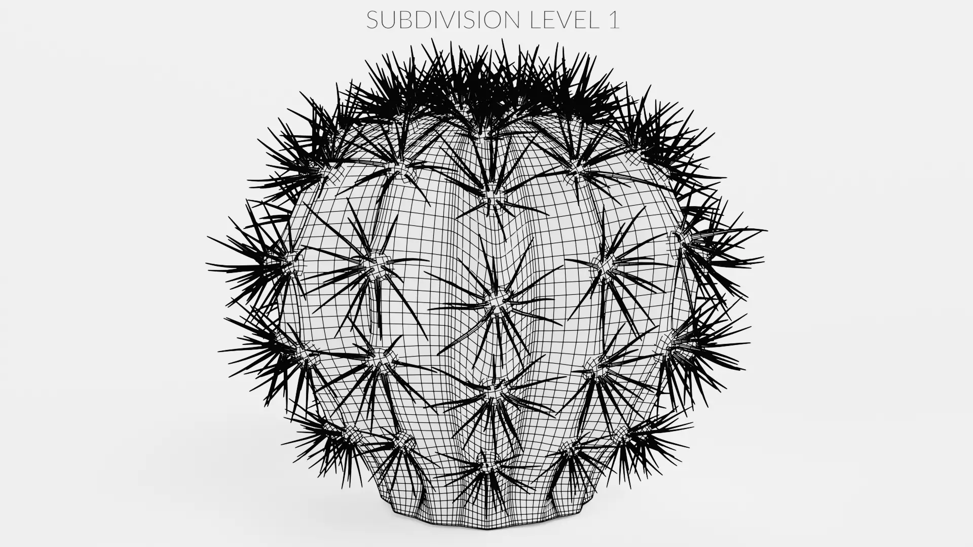 -Cactuses- Low-poly 3D model_16