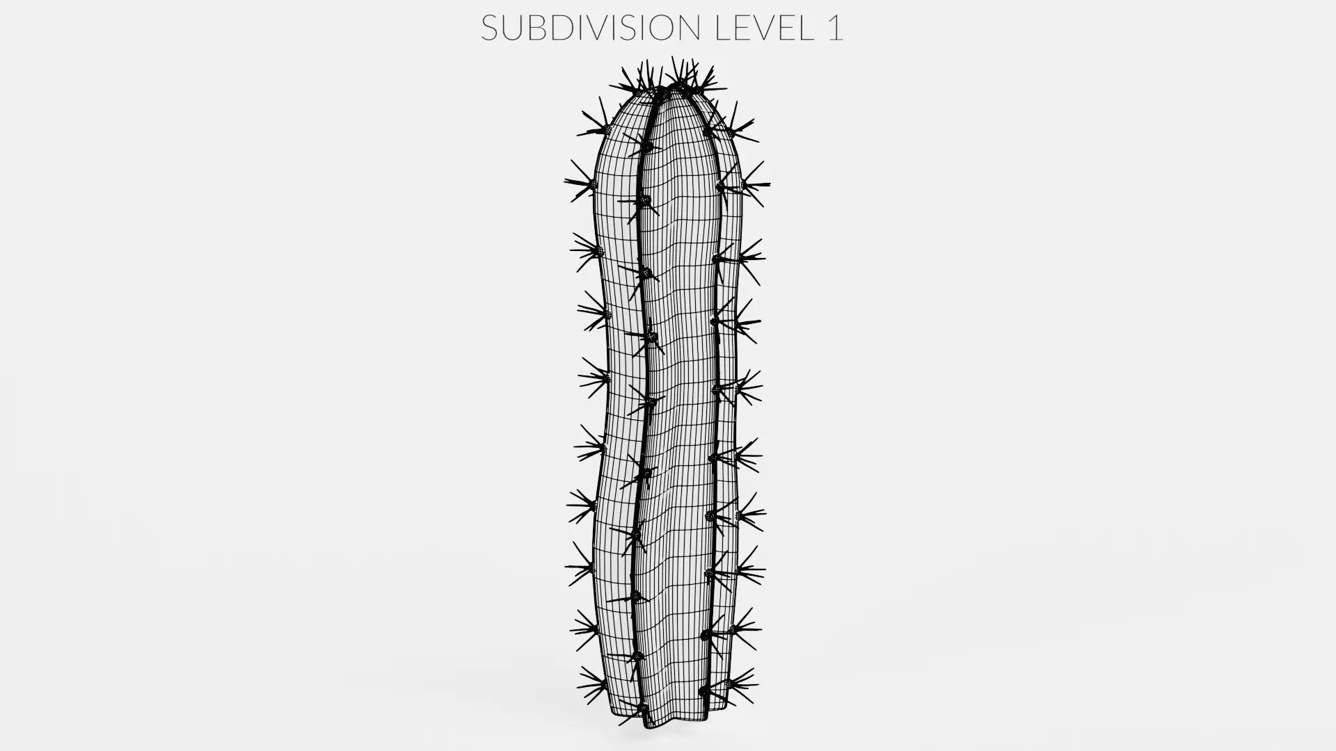 -Cactuses- Low-poly 3D model_28