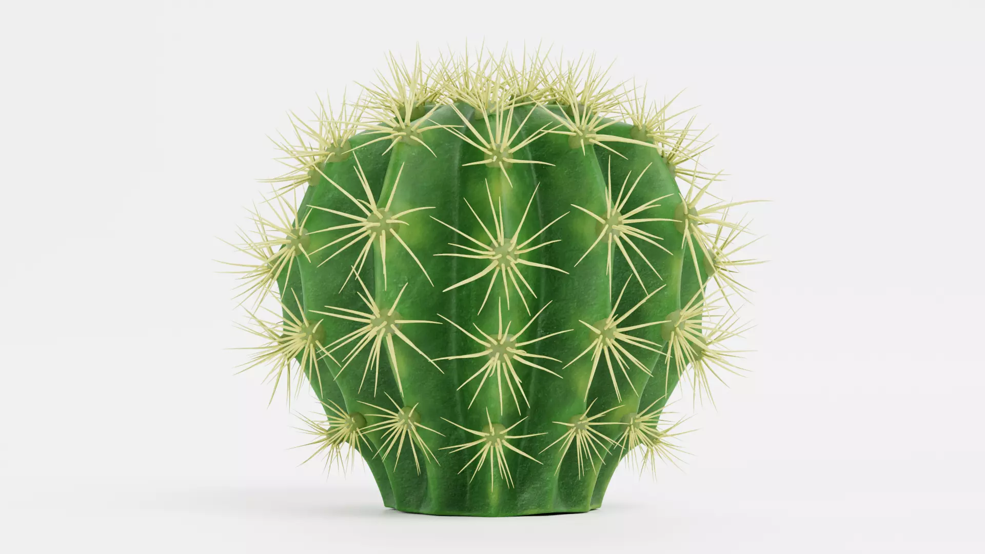 -Cactuses- Low-poly 3D model_7