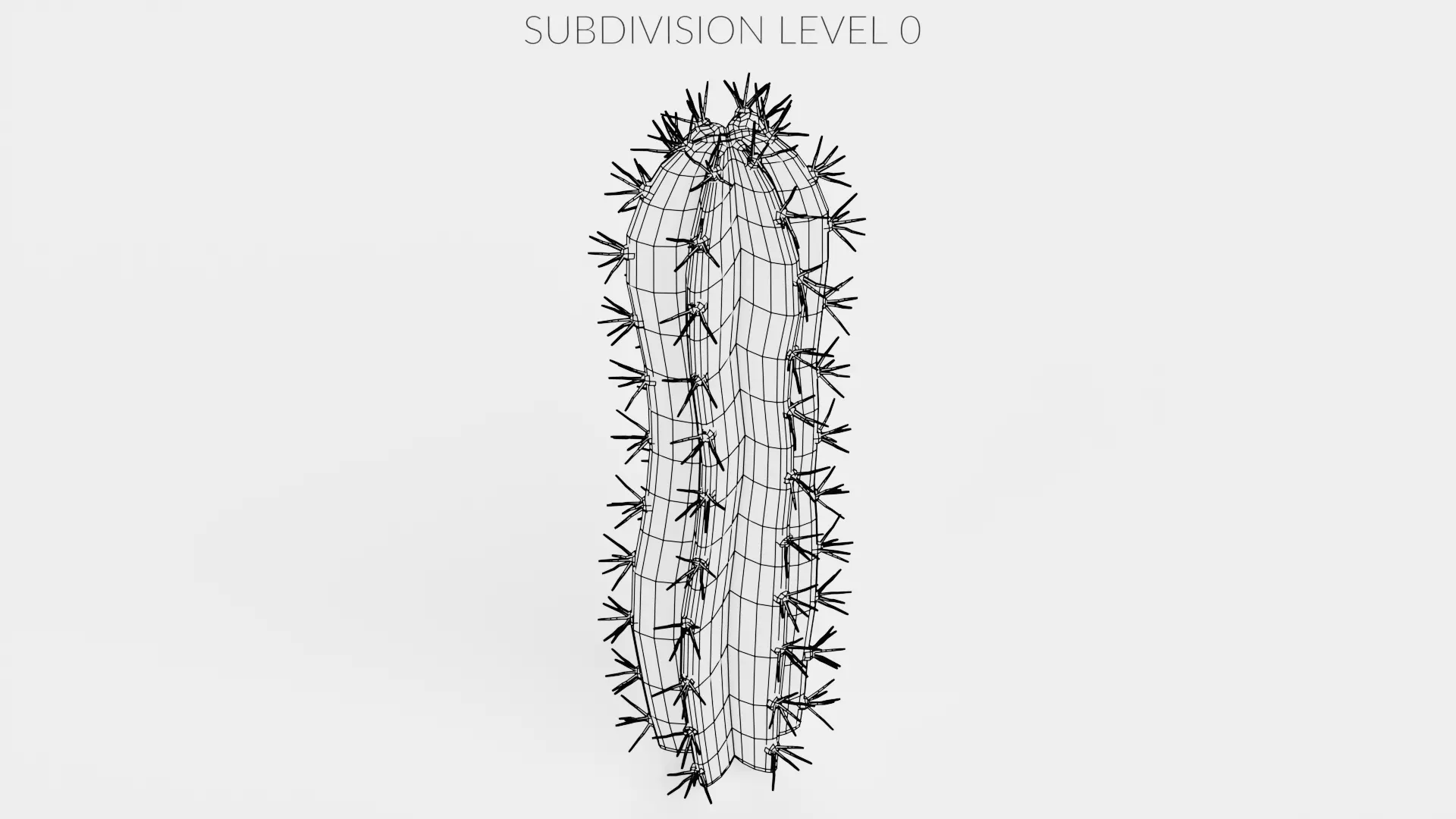 -Cactuses- Low-poly 3D model_29