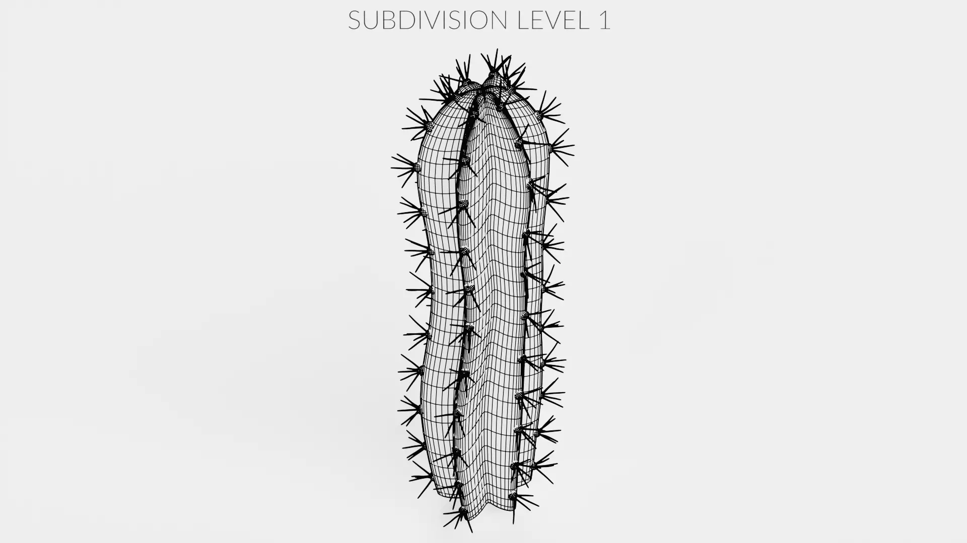 -Cactuses- Low-poly 3D model_30