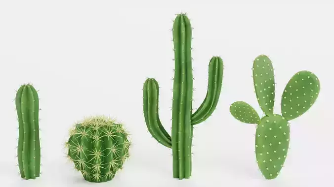 -Cactuses- Low-poly 3D model -Cactuses- Low-poly 3D model