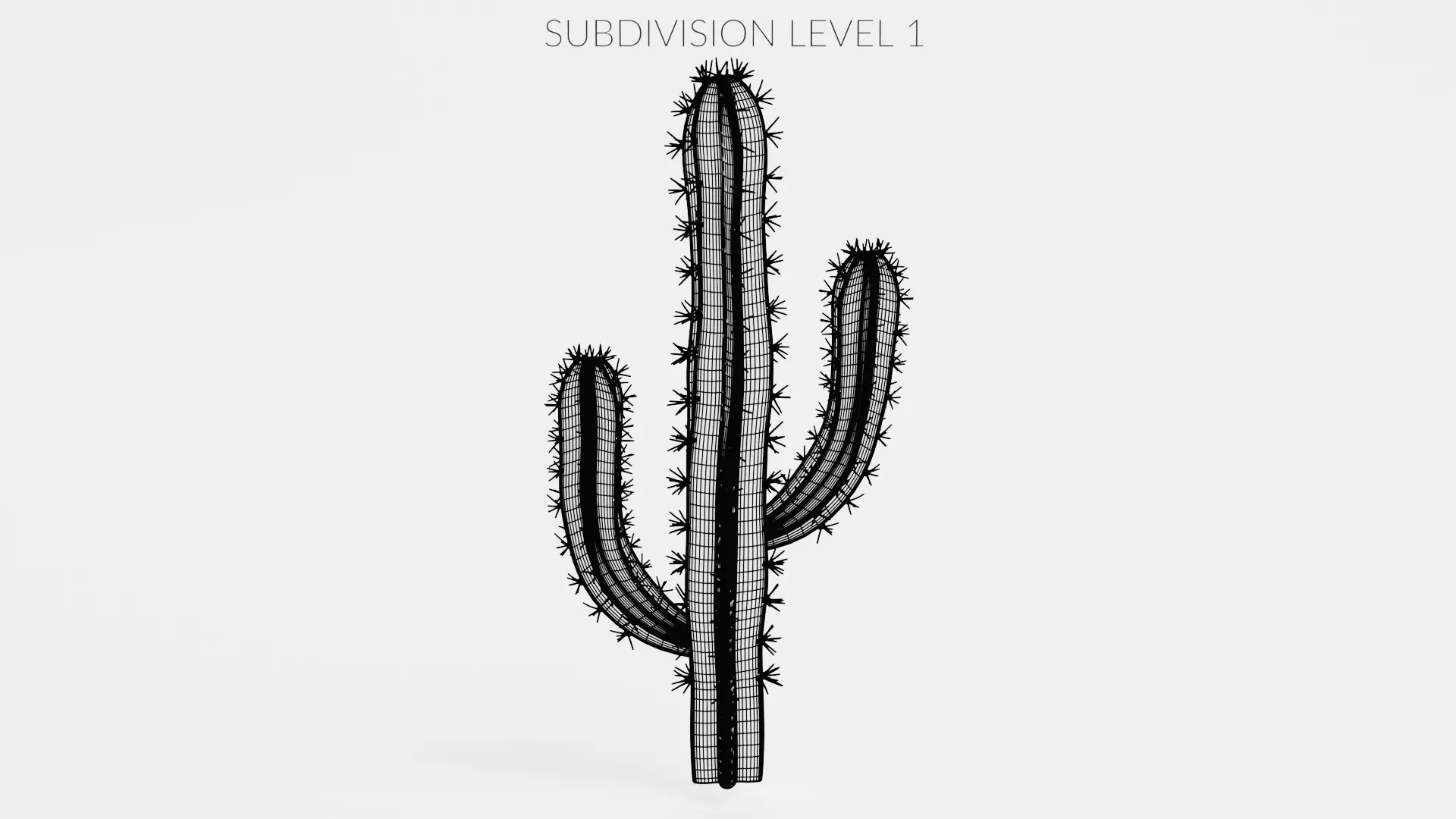 -Cactuses- Low-poly 3D model_24