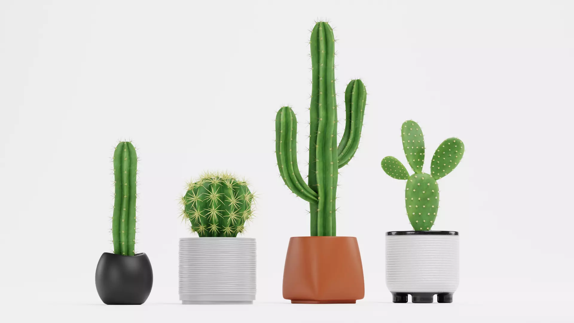 -Cactuses in Pots- Low-poly 3D model_1