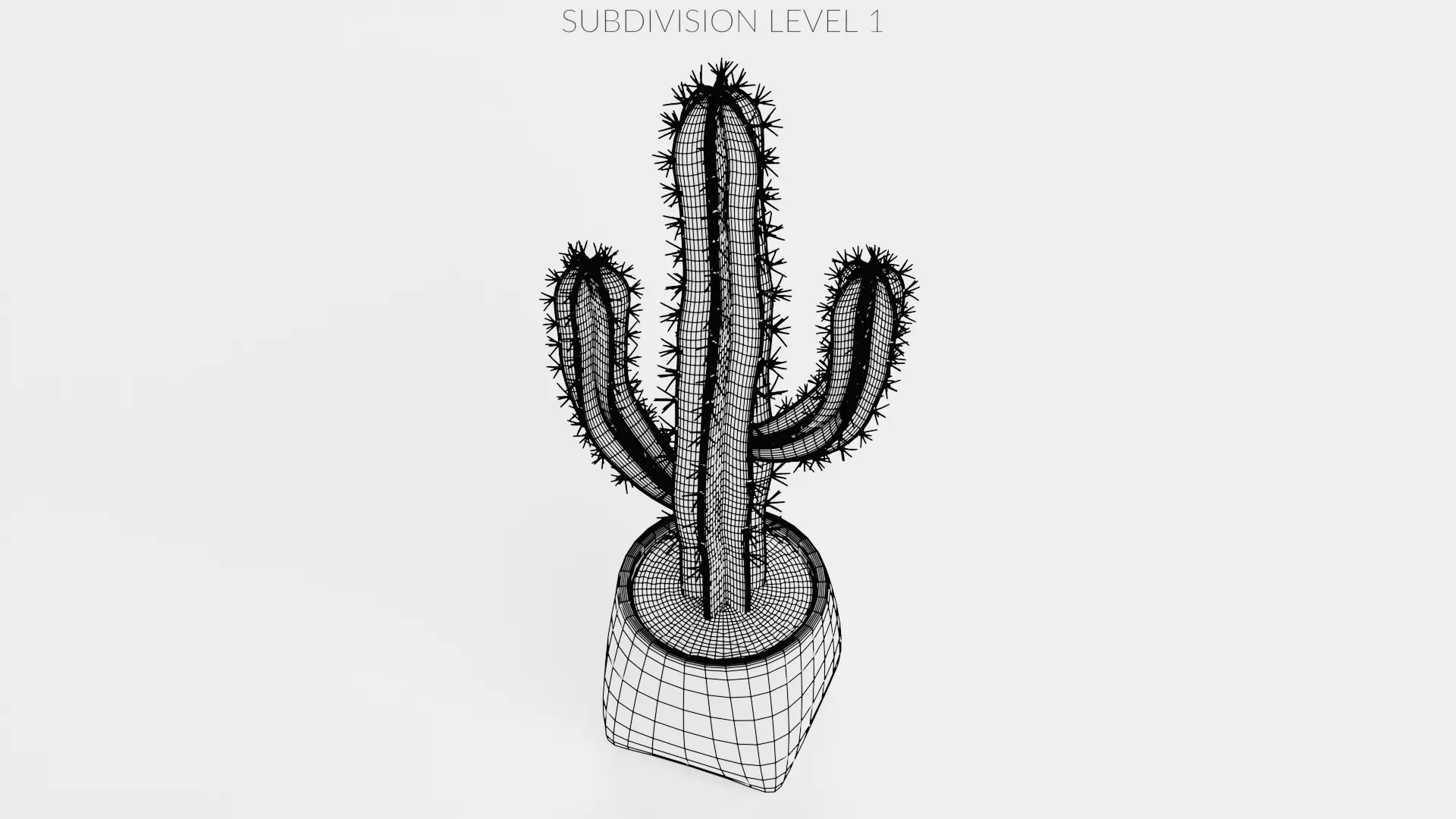 -Cactuses in Pots- Low-poly 3D model_25