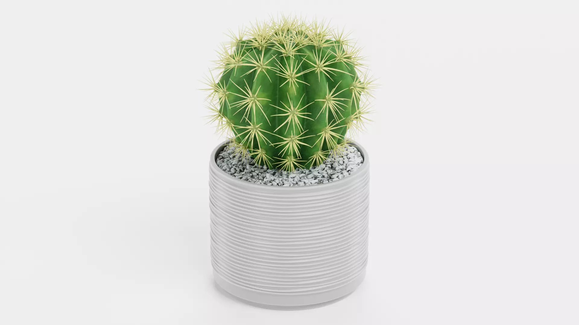 -Cactuses in Pots- Low-poly 3D model_6