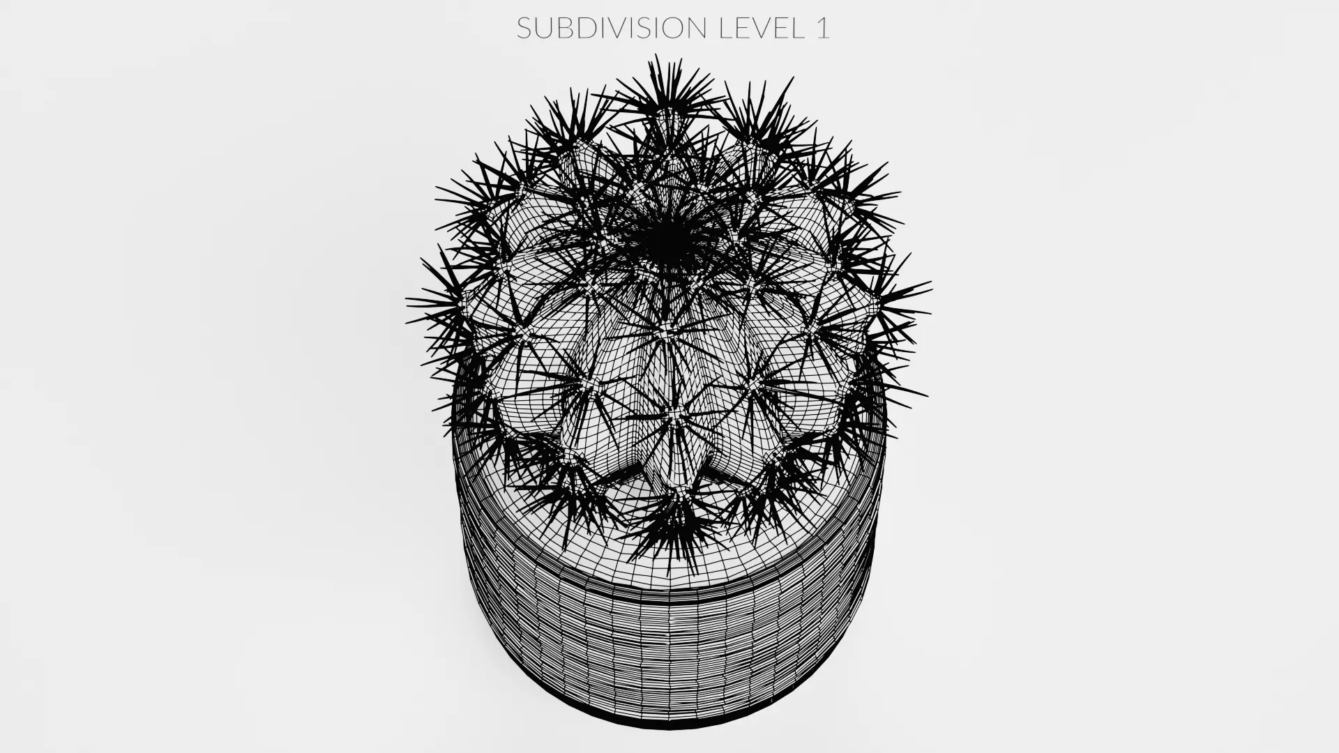 -Cactuses in Pots- Low-poly 3D model_17
