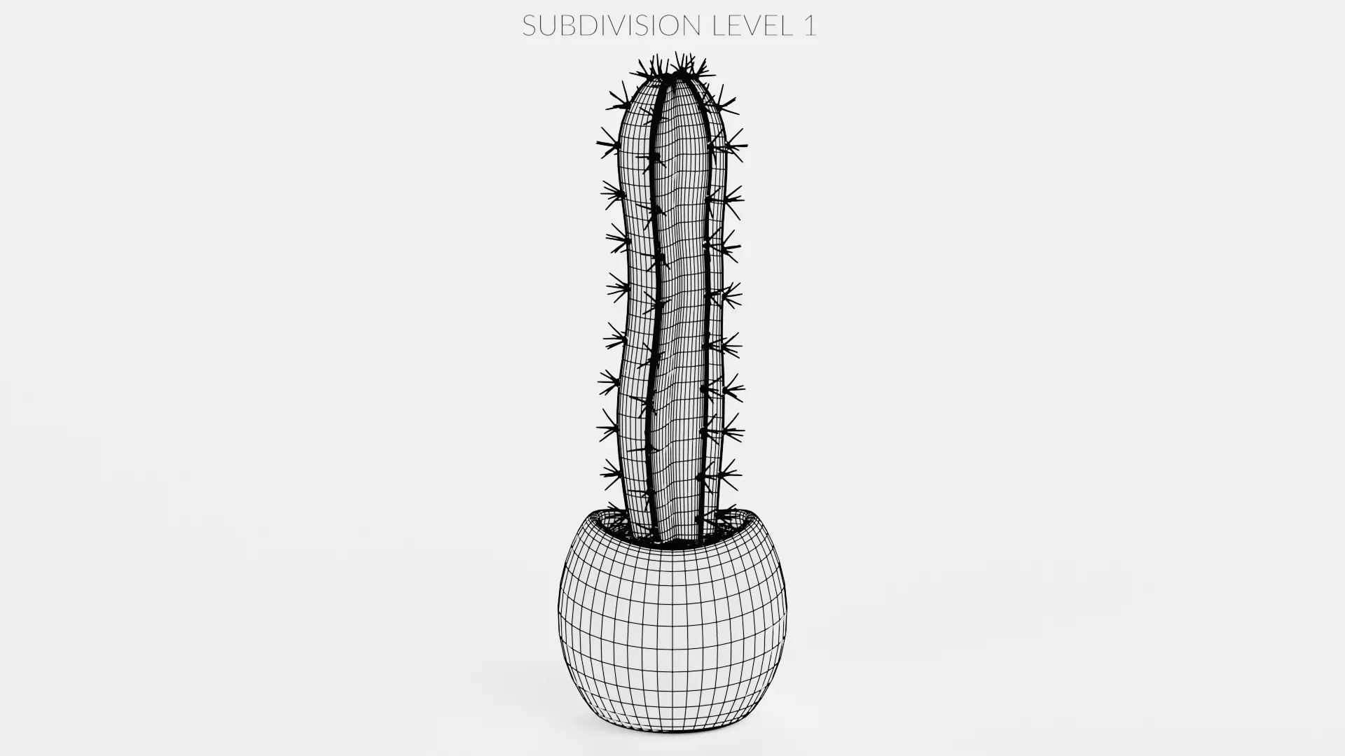 -Cactuses in Pots- Low-poly 3D model_27