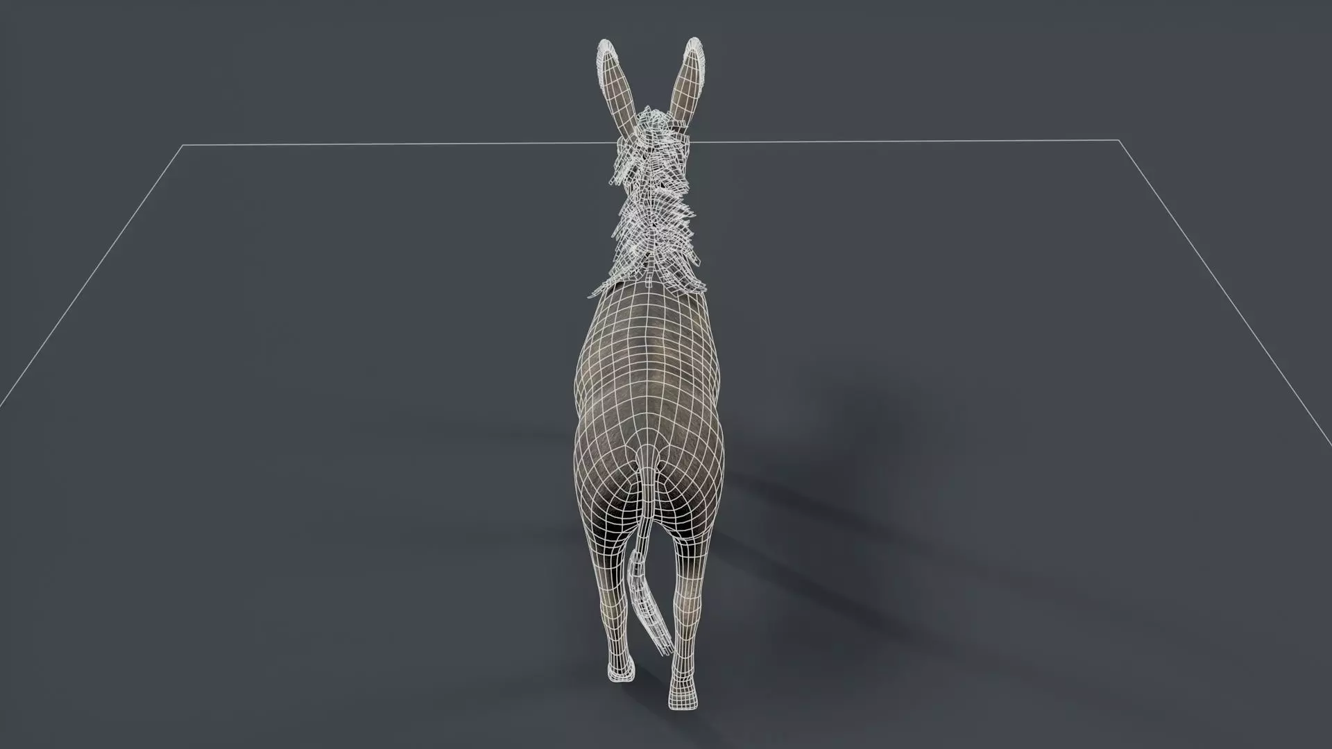 donkey Low-poly 3D model_10