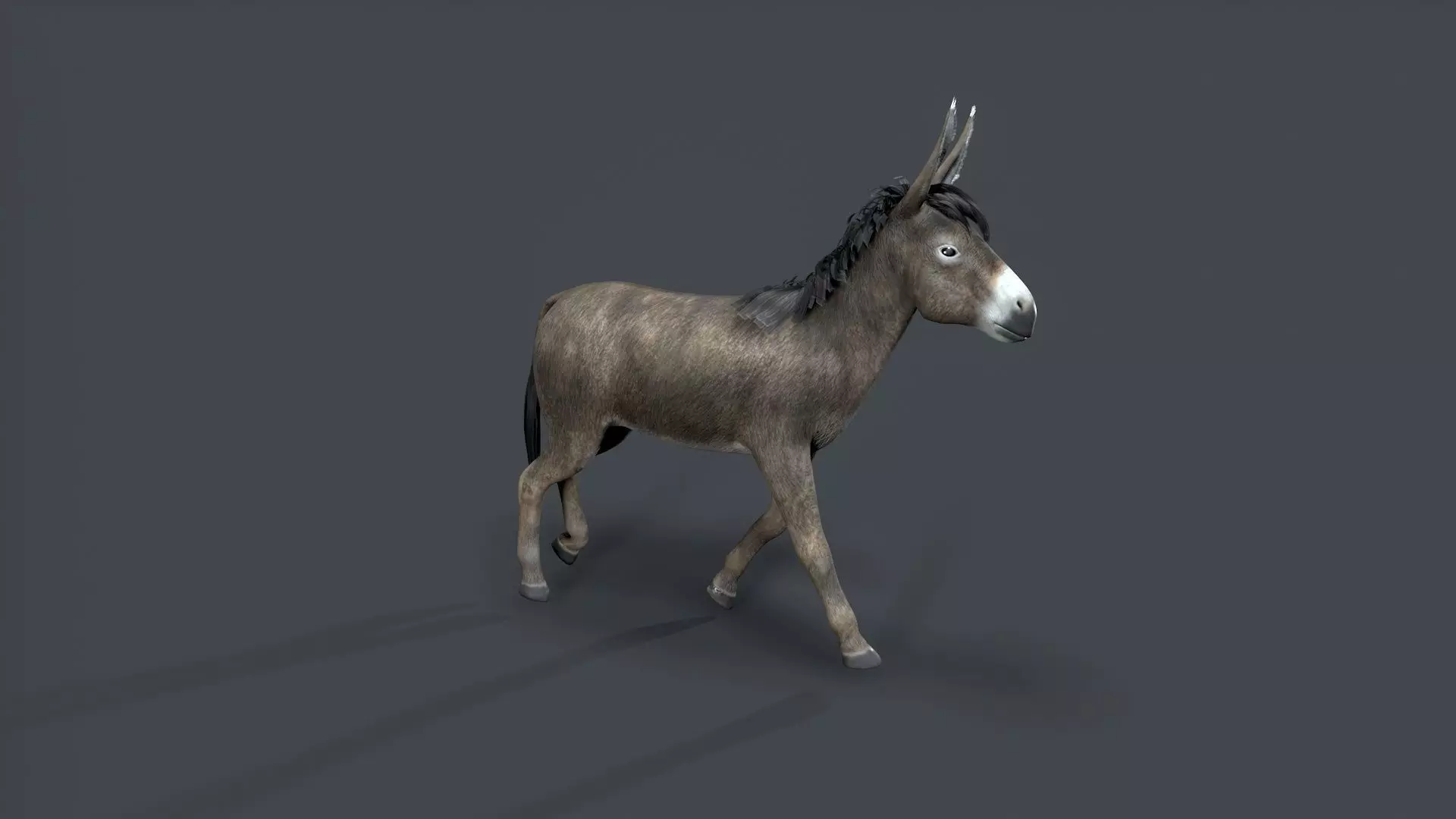 donkey Low-poly 3D model_6