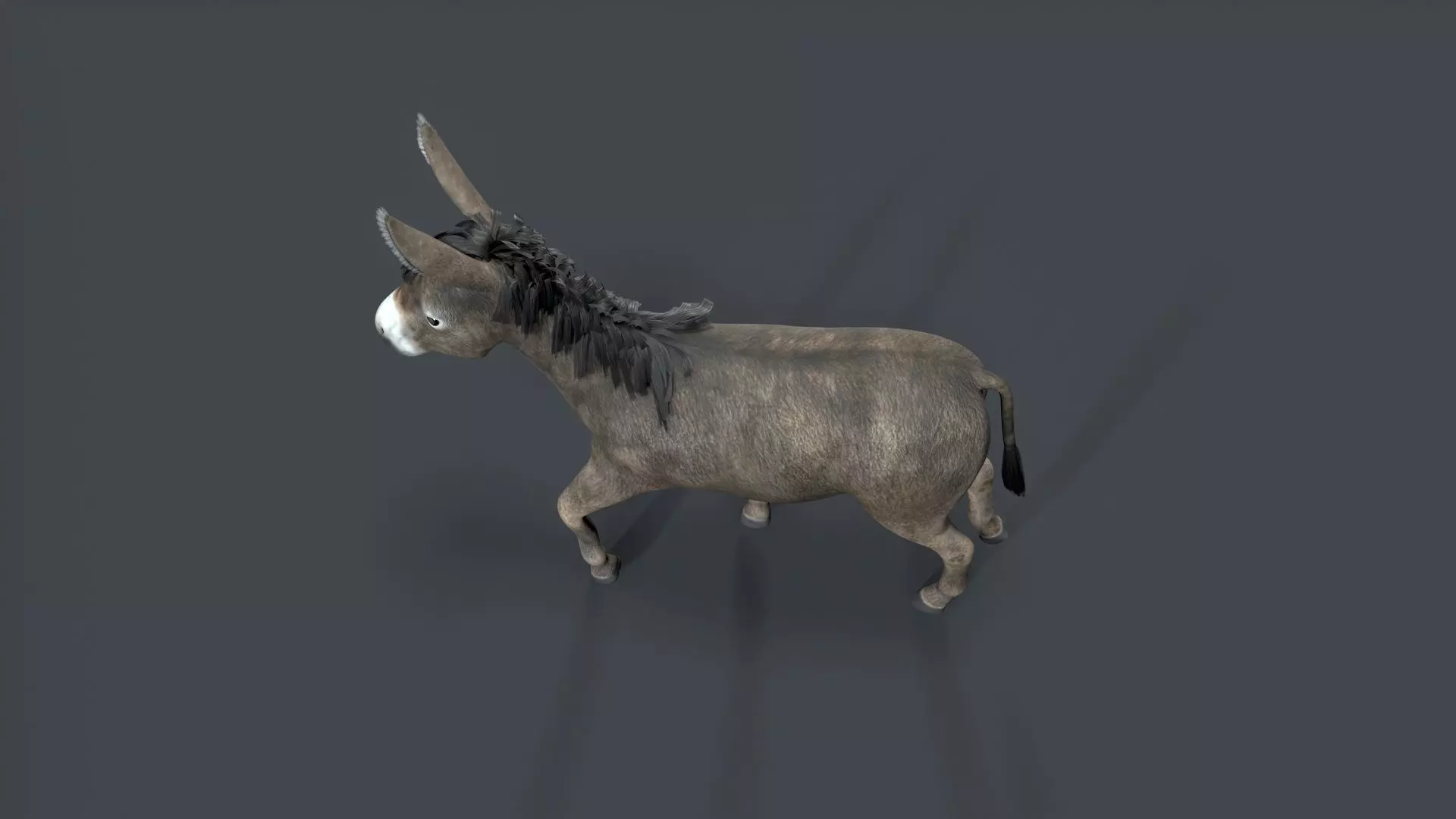 donkey Low-poly 3D model_5