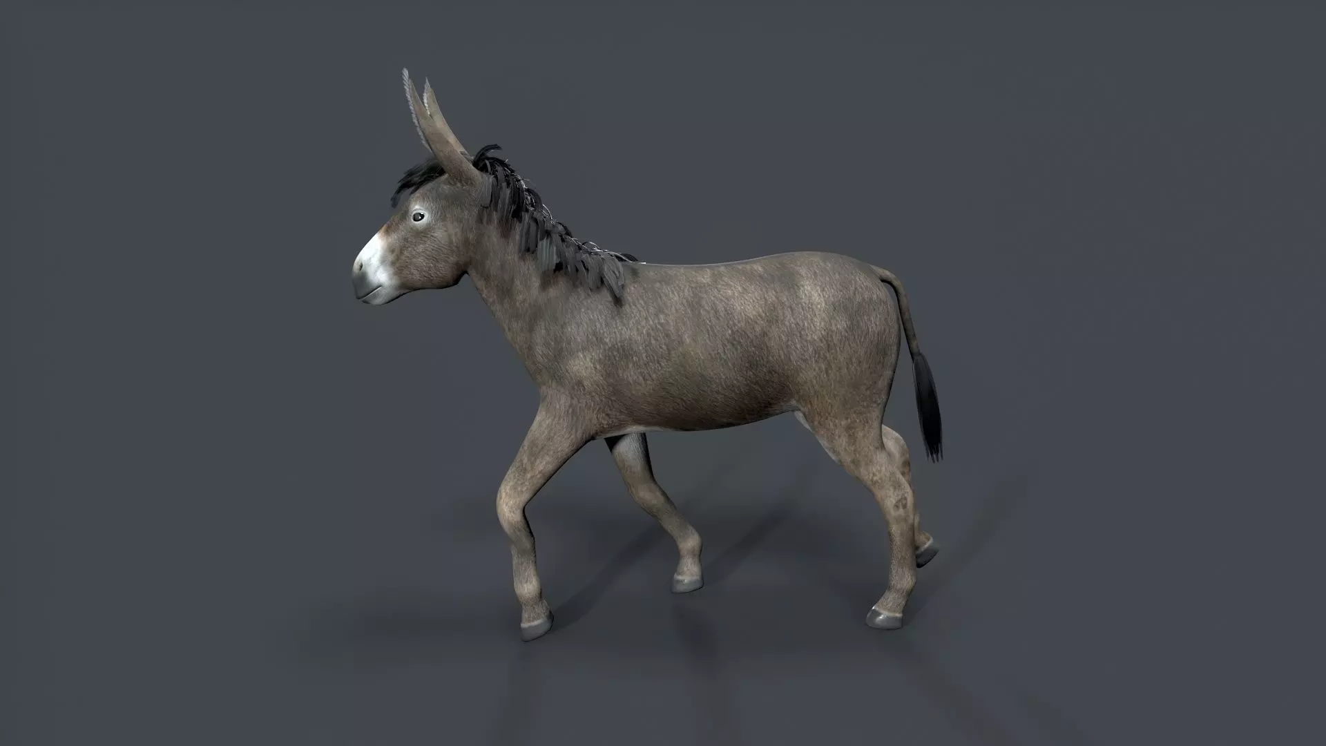 donkey Low-poly 3D model_4
