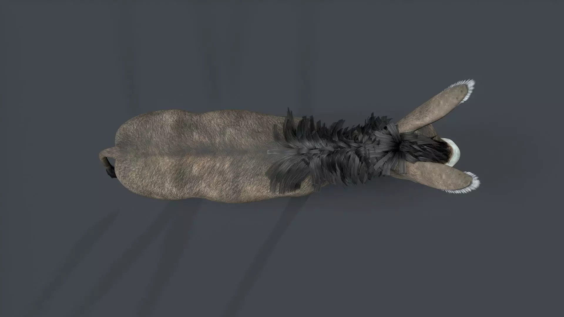 donkey Low-poly 3D model_8