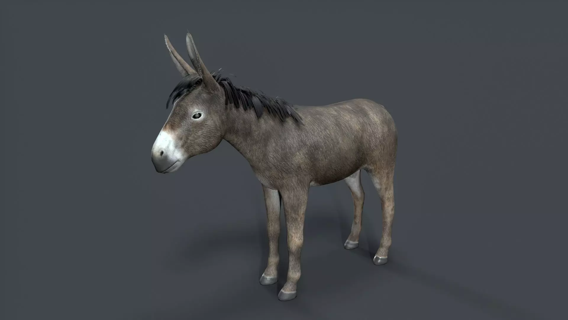 donkey Low-poly 3D model_2