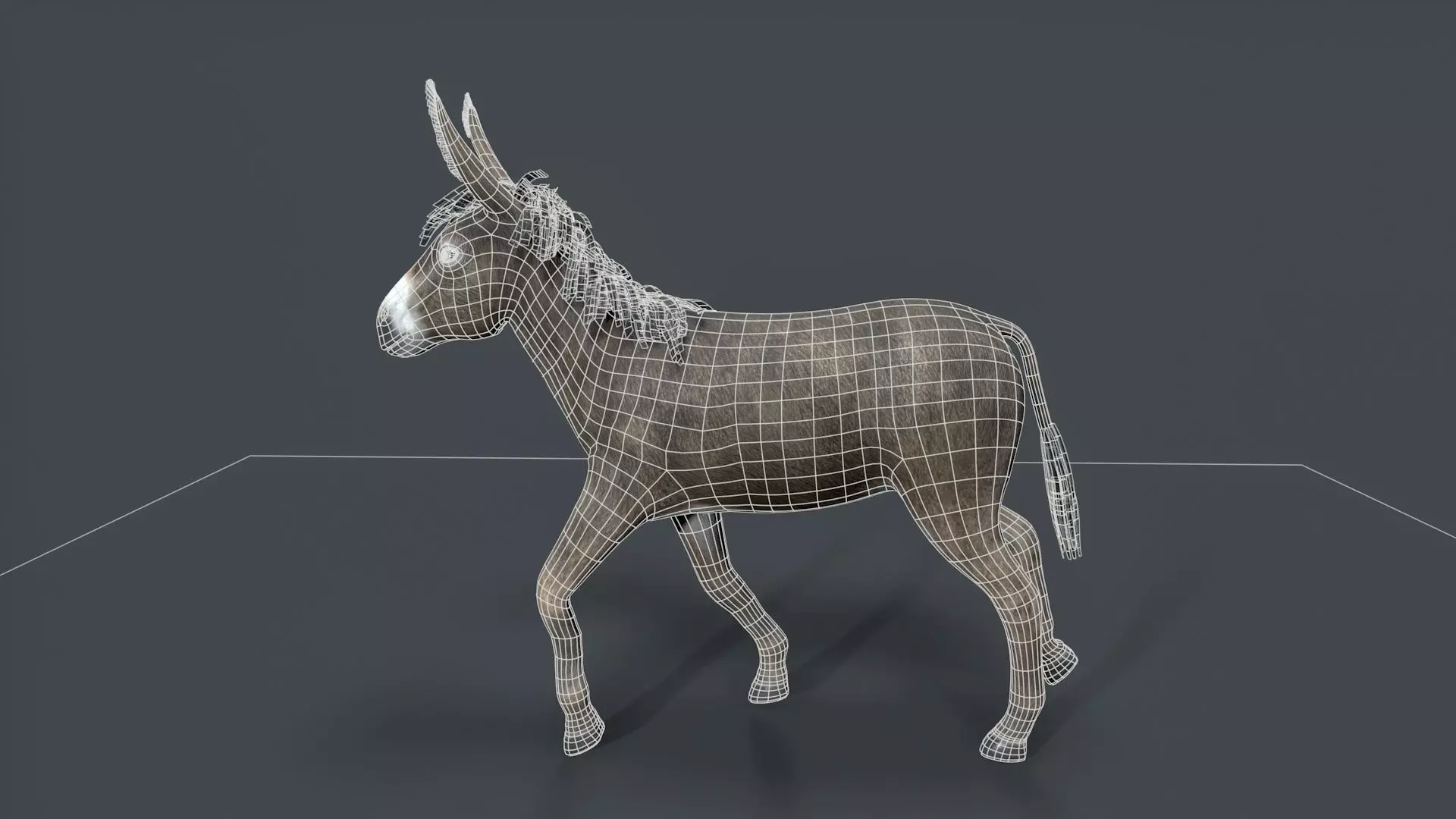 donkey Low-poly 3D model_9