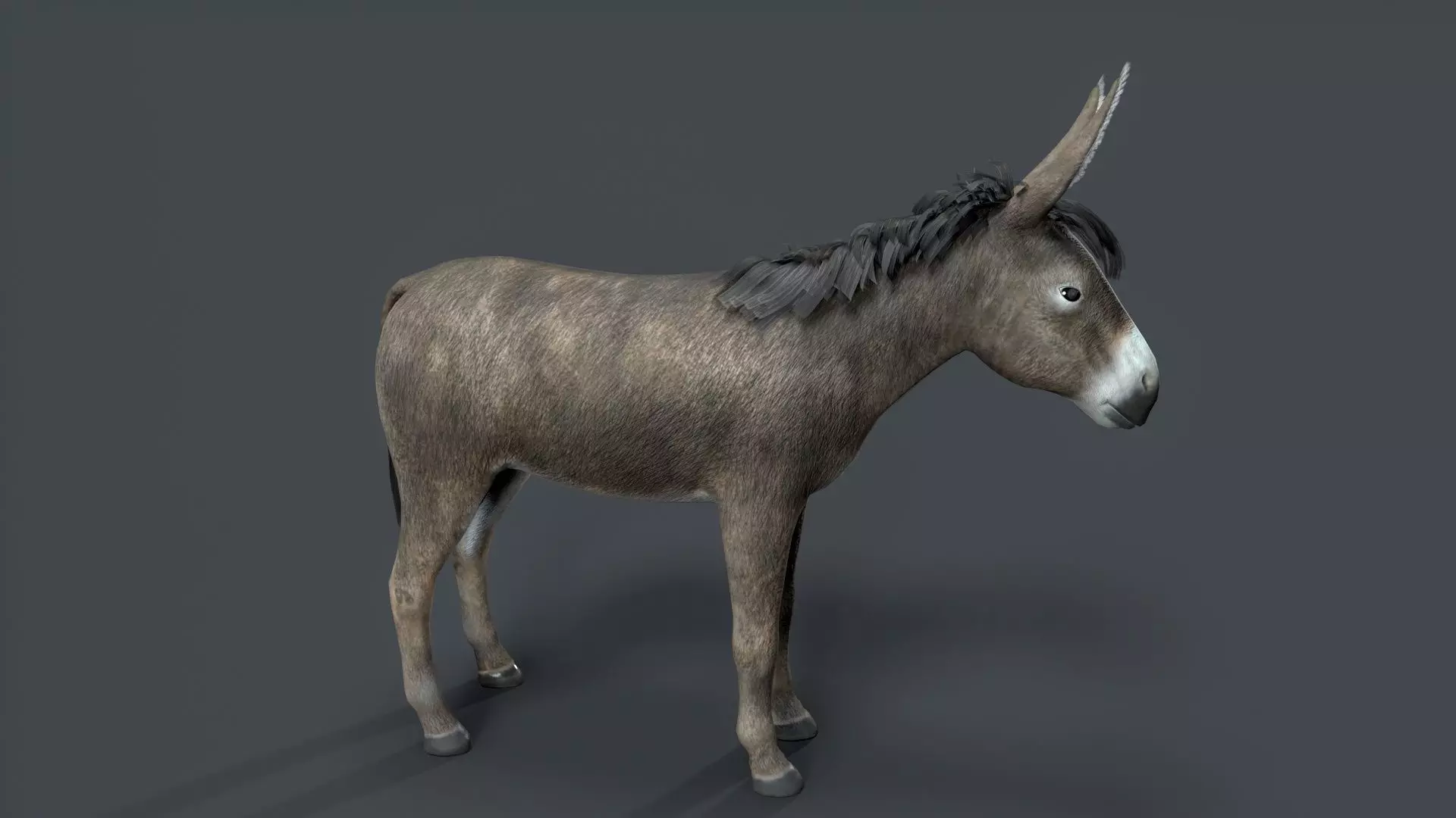 donkey Low-poly 3D model_0