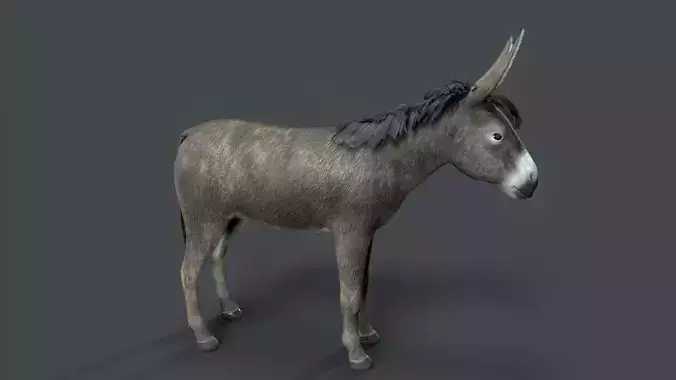 donkey Low-poly 3D model donkey Low-poly 3D model