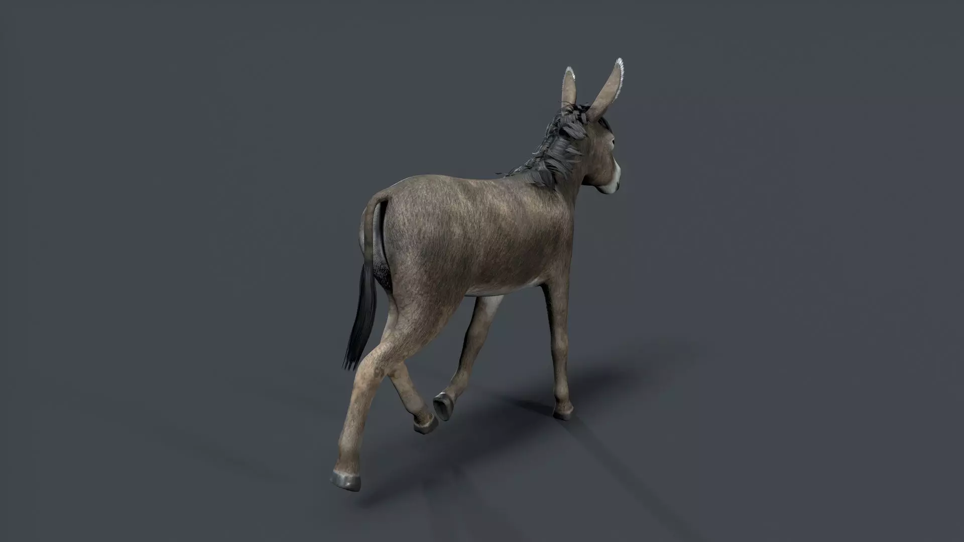donkey Low-poly 3D model_7