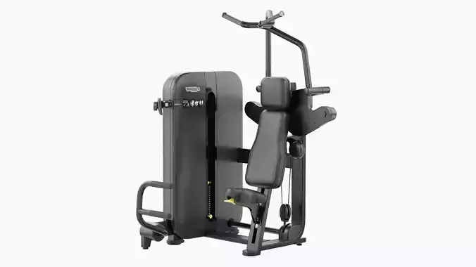 Technogym Artis Vertical Traction