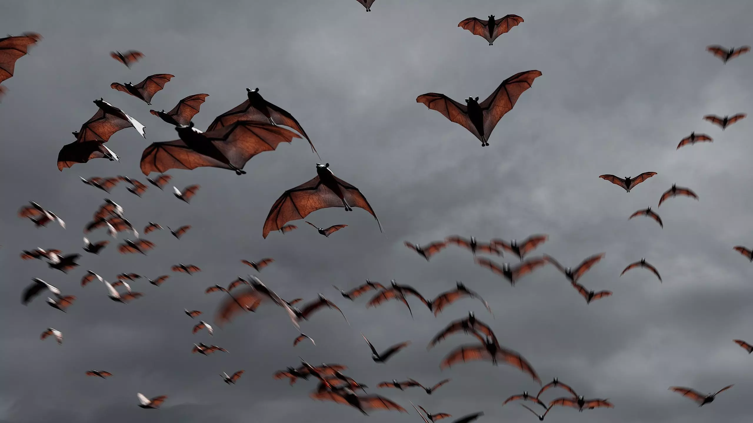 Animated Bats - Geometry Nodes 3D model_0
