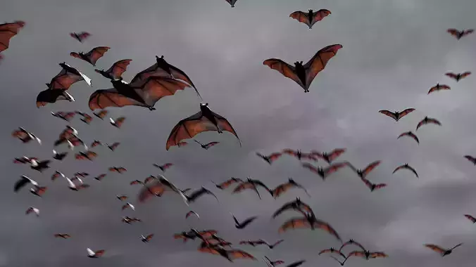 Animated Bats - Geometry Nodes 3D model