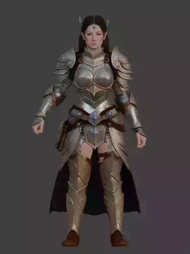 Lady Paladin Warrior