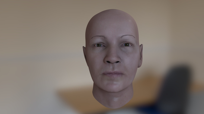 female Head Model