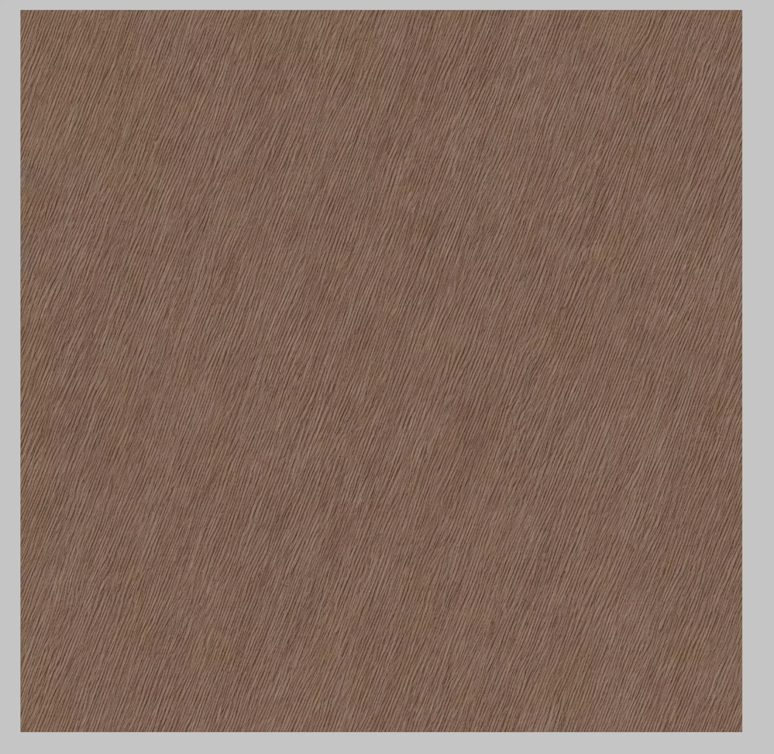 Wood and Bark Textures Texture_17