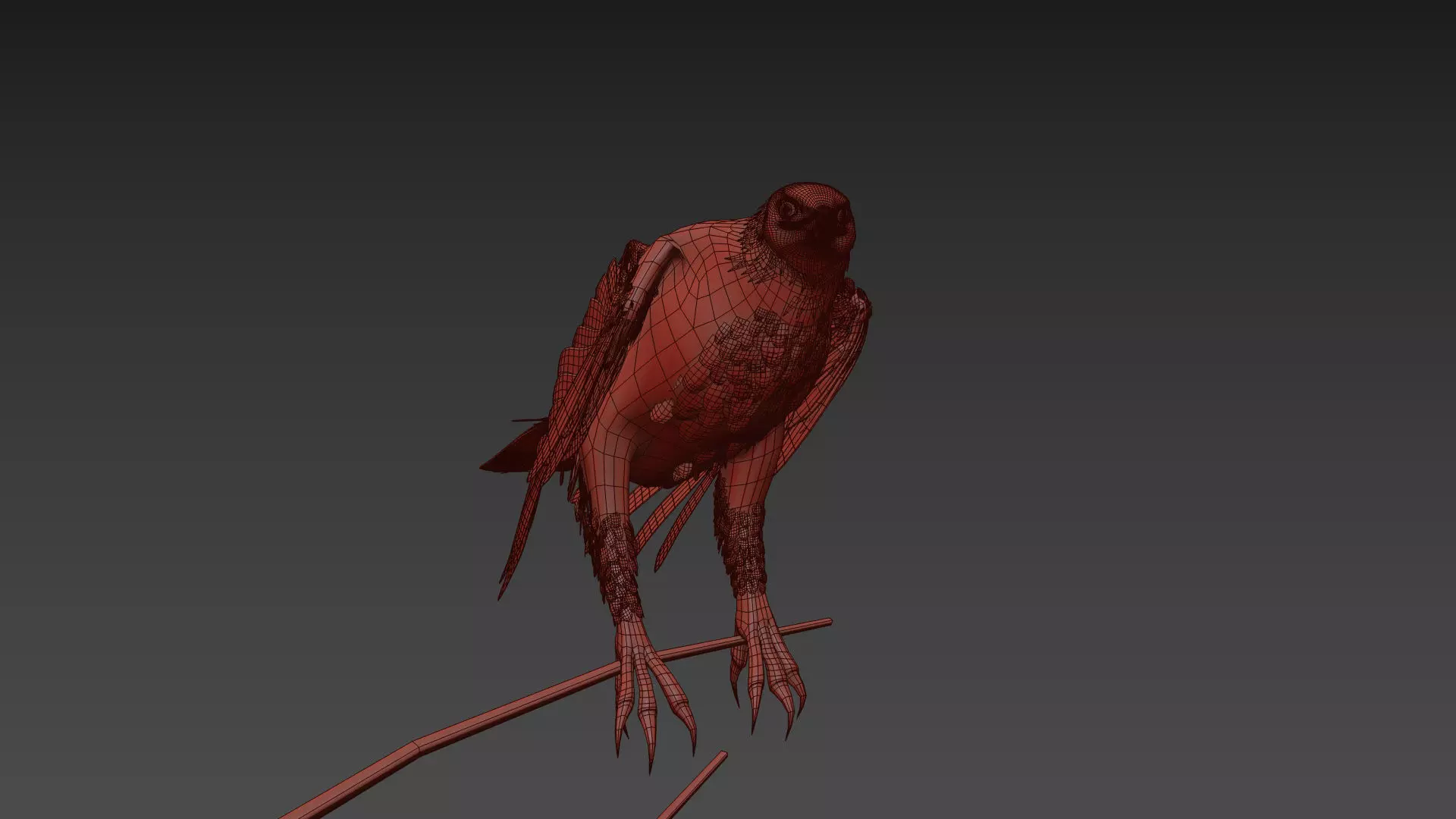 Pro Bald Eagle - 8k - 3d animated  3D model_20