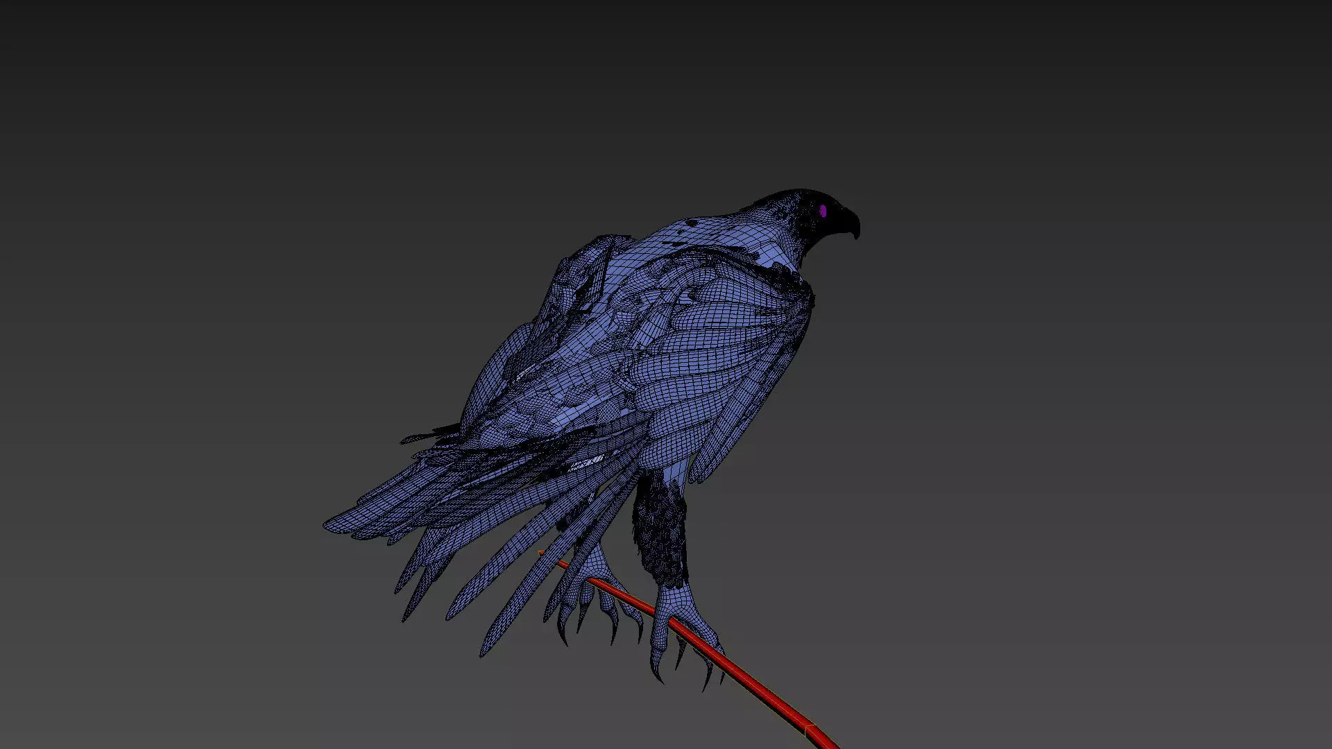 Pro Bald Eagle - 8k - 3d animated  3D model_18
