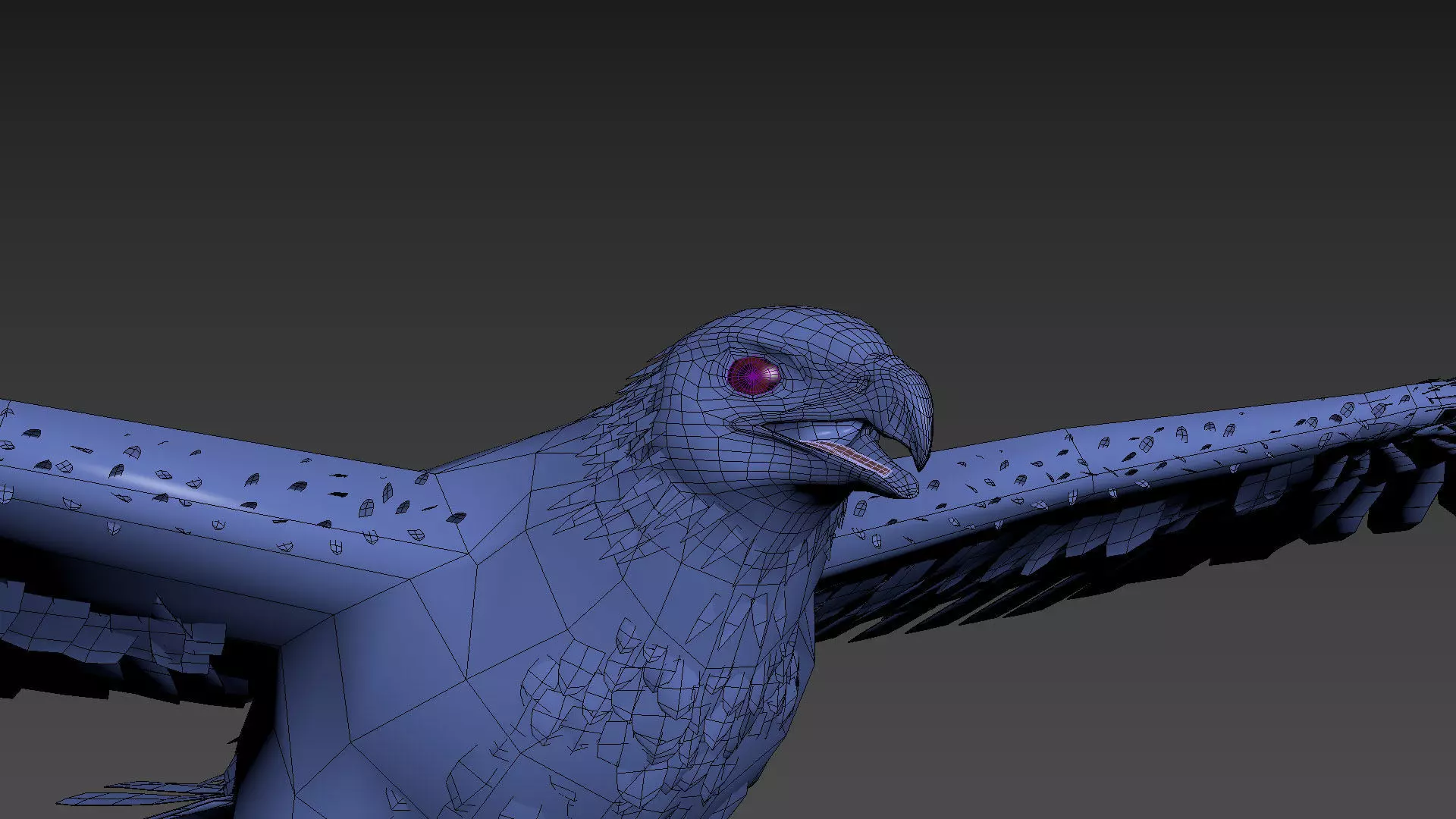 Pro Bald Eagle - 8k - 3d animated  3D model_22
