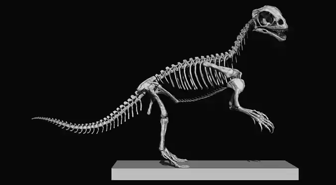 BABY MUSSAURUS REAL SIZE V2