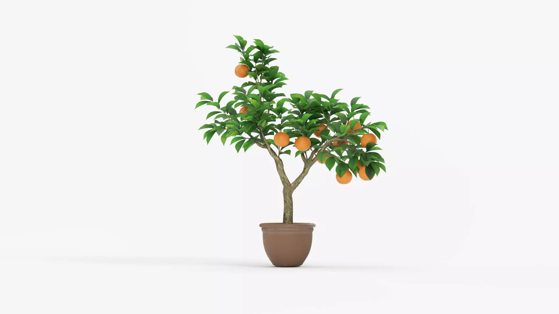 Potted Orange Trees Collection 3 Variants 3D model_4