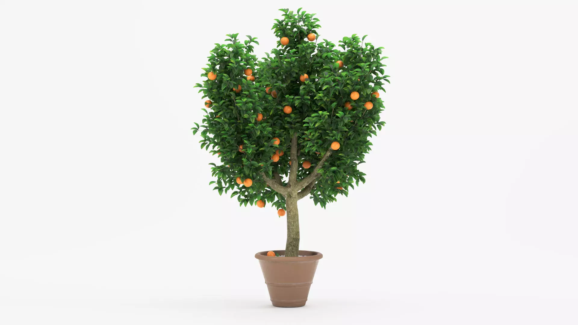 Potted Orange Trees Collection 3 Variants 3D model_1