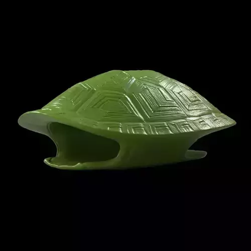Turtle Shell