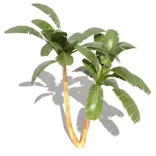 Banana Tree - 01 low poly Low-poly 3D model