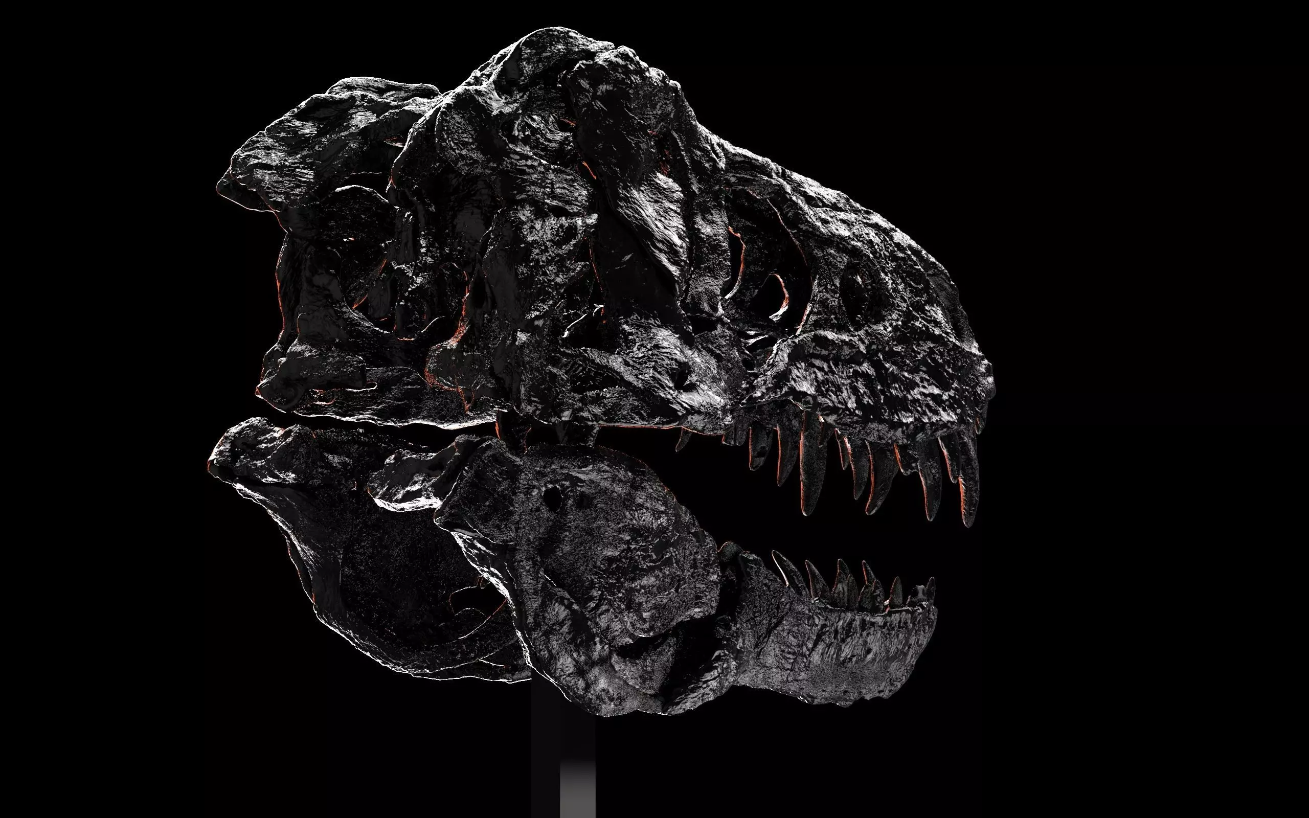 Tyrannosaurus Rex -Tristan Otto- Skull 3D print model_6