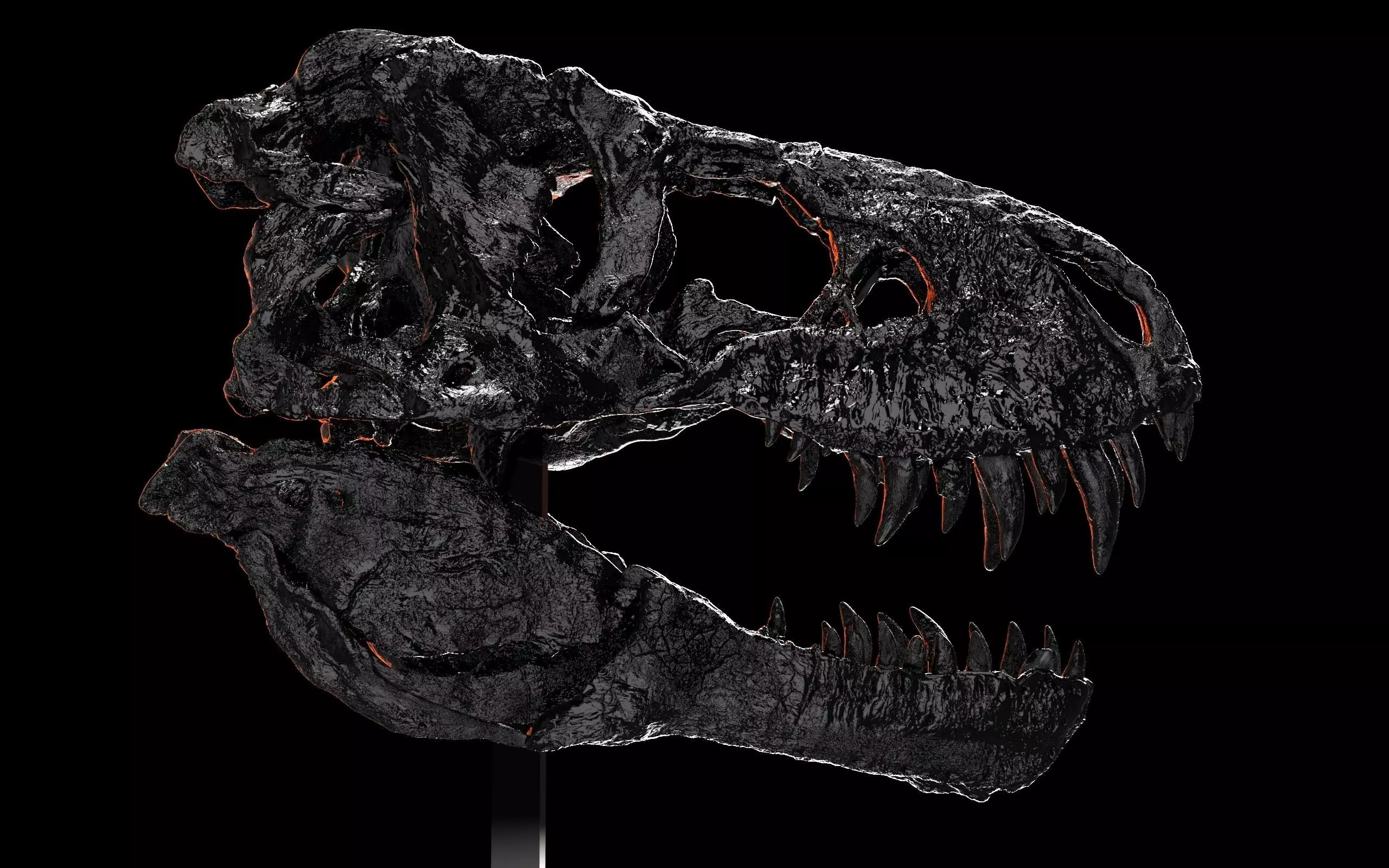 Tyrannosaurus Rex -Tristan Otto- Skull 3D print model_5