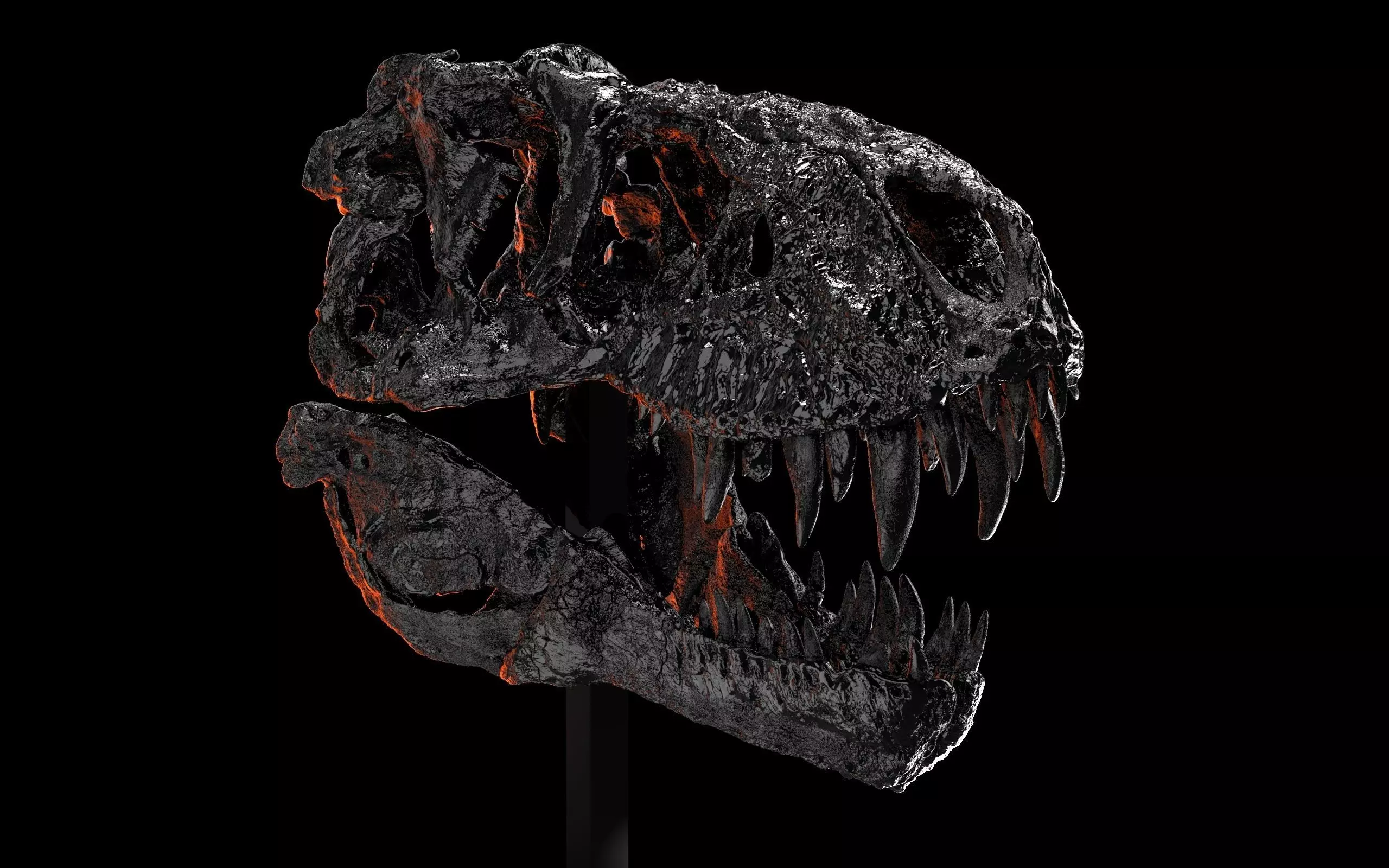 Tyrannosaurus Rex -Tristan Otto- Skull 3D print model_4