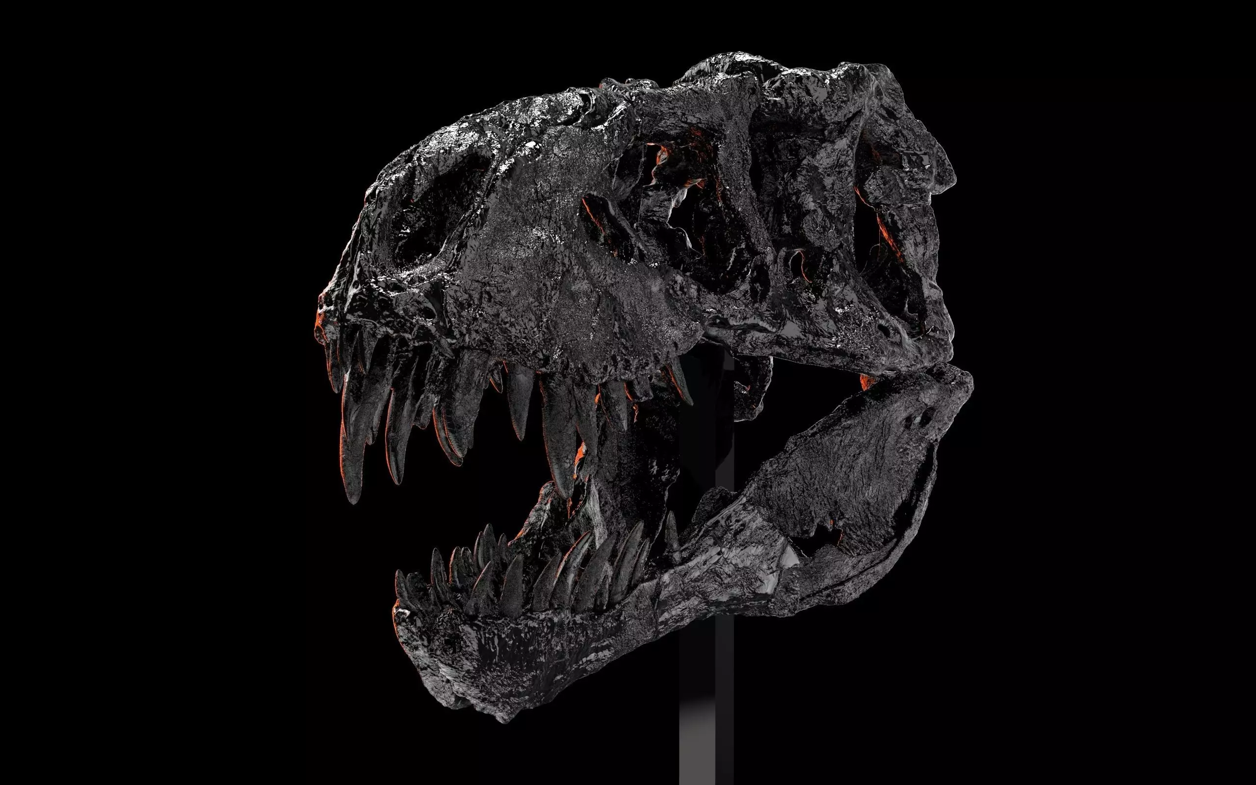 Tyrannosaurus Rex -Tristan Otto- Skull 3D print model_0