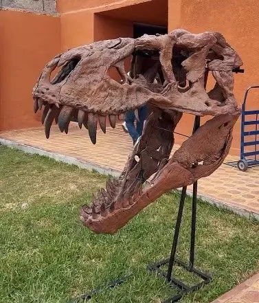 Tyrannosaurus Rex -Tristan Otto- Skull 3D print model_10
