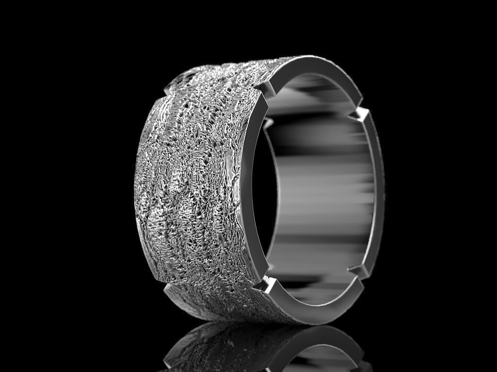 Ring 13 3D print model_1