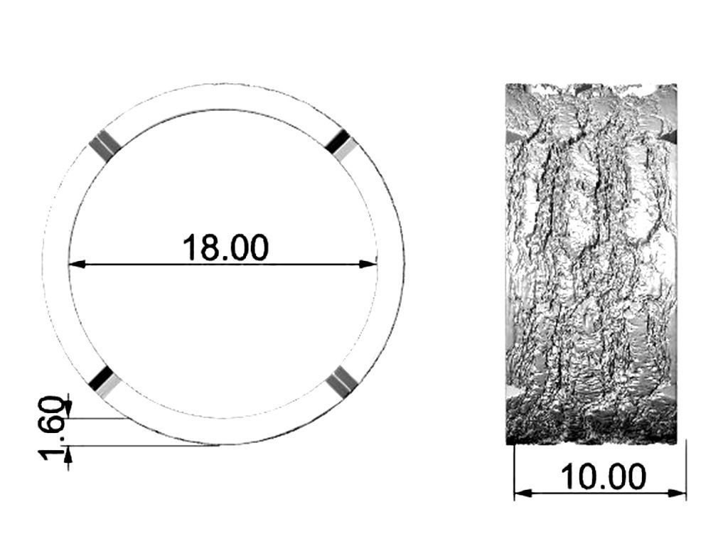 Ring 13 3D print model_2