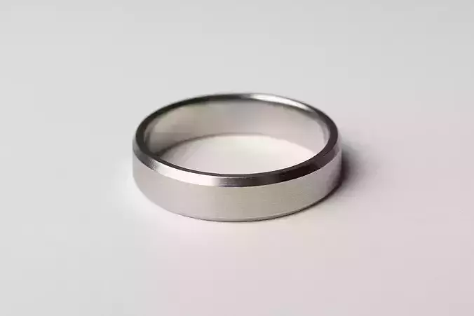 Ring Model 7954
