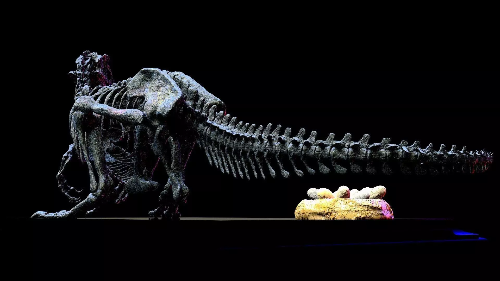 Allosaurus skeleton with nest  3D print model_1