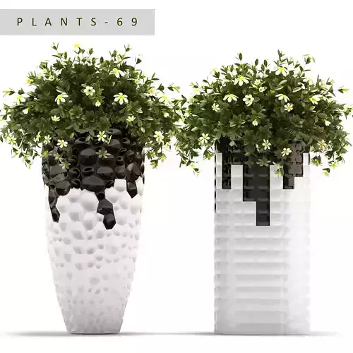 Plants 69